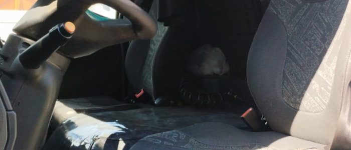 WhatsApp Image 2026-01-15 at 09.30.48 (1)